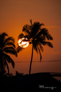 Goa 3