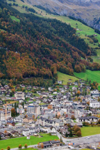 Swiss 47