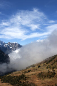 Swiss 5