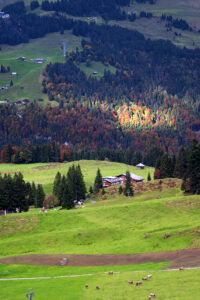 Swiss 60