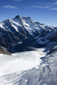 Swiss 7